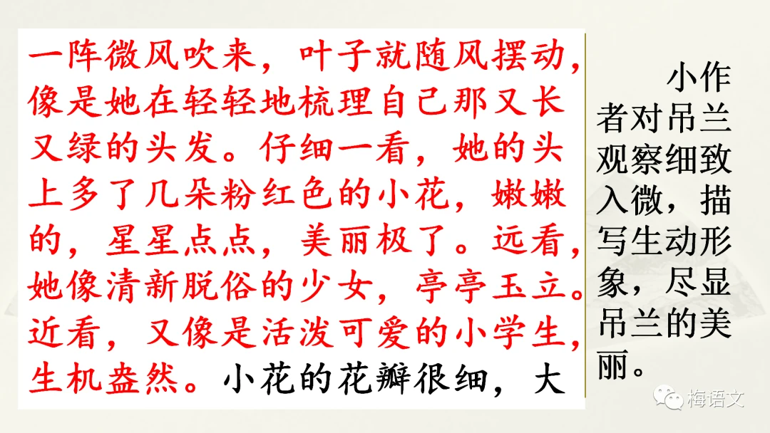 哪里可以找到适合篮球运动员的智能恢复方案?_0